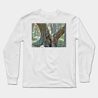 Spooky Face In A Tree Long Sleeve T-Shirt